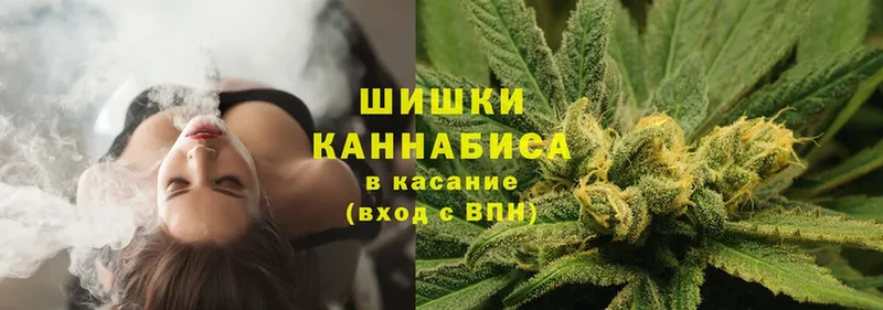 Бошки марихуана VHQ  Валдай 